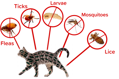Натурална яка против бълхи, кърлежи и комари (най-безопасната защита за 8+ месеца)